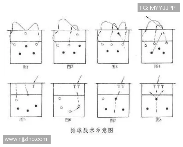 北京排球队精英赛战术分析与表现评估探讨 北京排球队精英赛战术分析与表现评估探讨